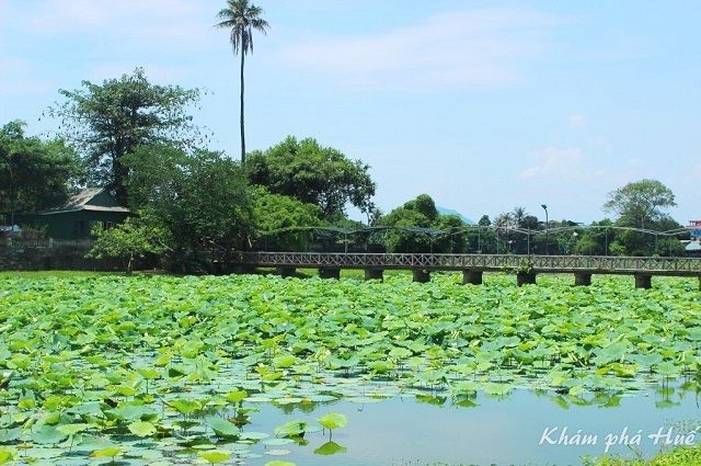 Đảo Bồng Lai - hồ Tịnh Tâm: Vườn ngự uyển bên Kinh thành Huế Đảo Bồng Lai - hồ Tịnh Tâm: Vườn ngự uyển bên Kinh thành Huế