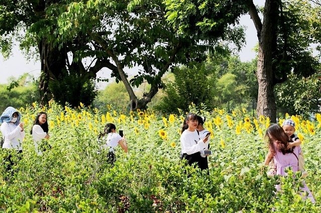 Đảo Bồng Lai - hồ Tịnh Tâm: Vườn ngự uyển bên Kinh thành Huế Đảo Bồng Lai - hồ Tịnh Tâm: Vườn ngự uyển bên Kinh thành Huế