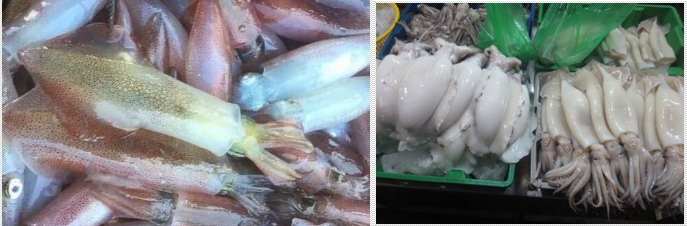 Cách phân biệt mực tươi và mực đã bị ngâm hóa chất