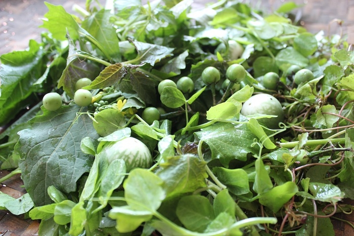 Món nộm rau rừng