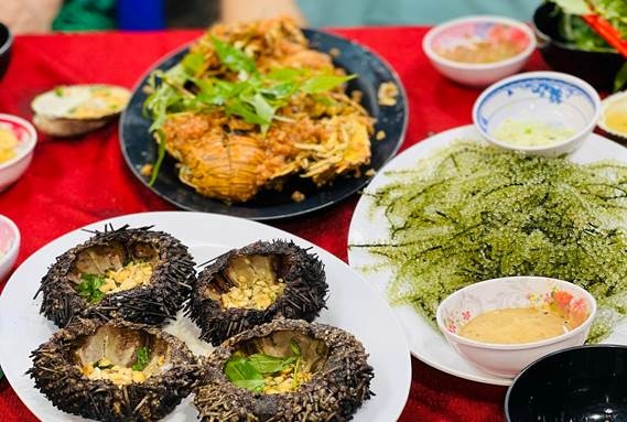 Thưởng thức Nhum biển sản vật hấp dẫn không thể bỏ qua tại vịnh Vĩnh Hy