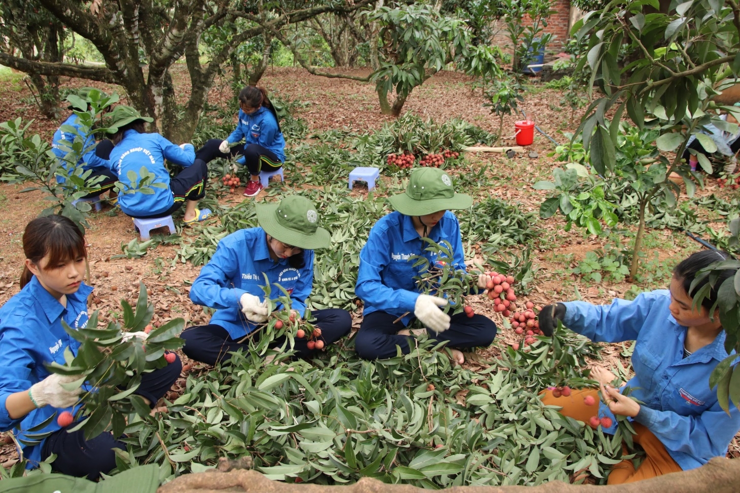 Xoay chuyển tình thế tiêu thụ nông sản tới vụ giữa tâm dịch Covid-19 Xoay chuyển tình thế tiêu thụ nông sản tới vụ giữa tâm dịch Covid-19