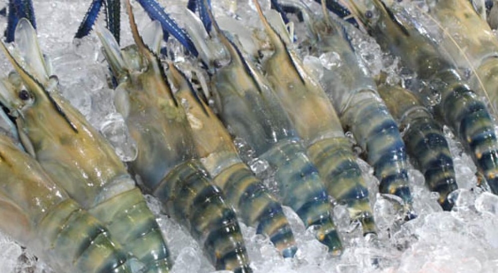 Quy định mới về xuất xứ hàng hóa trong Hiệp định UKVFTA