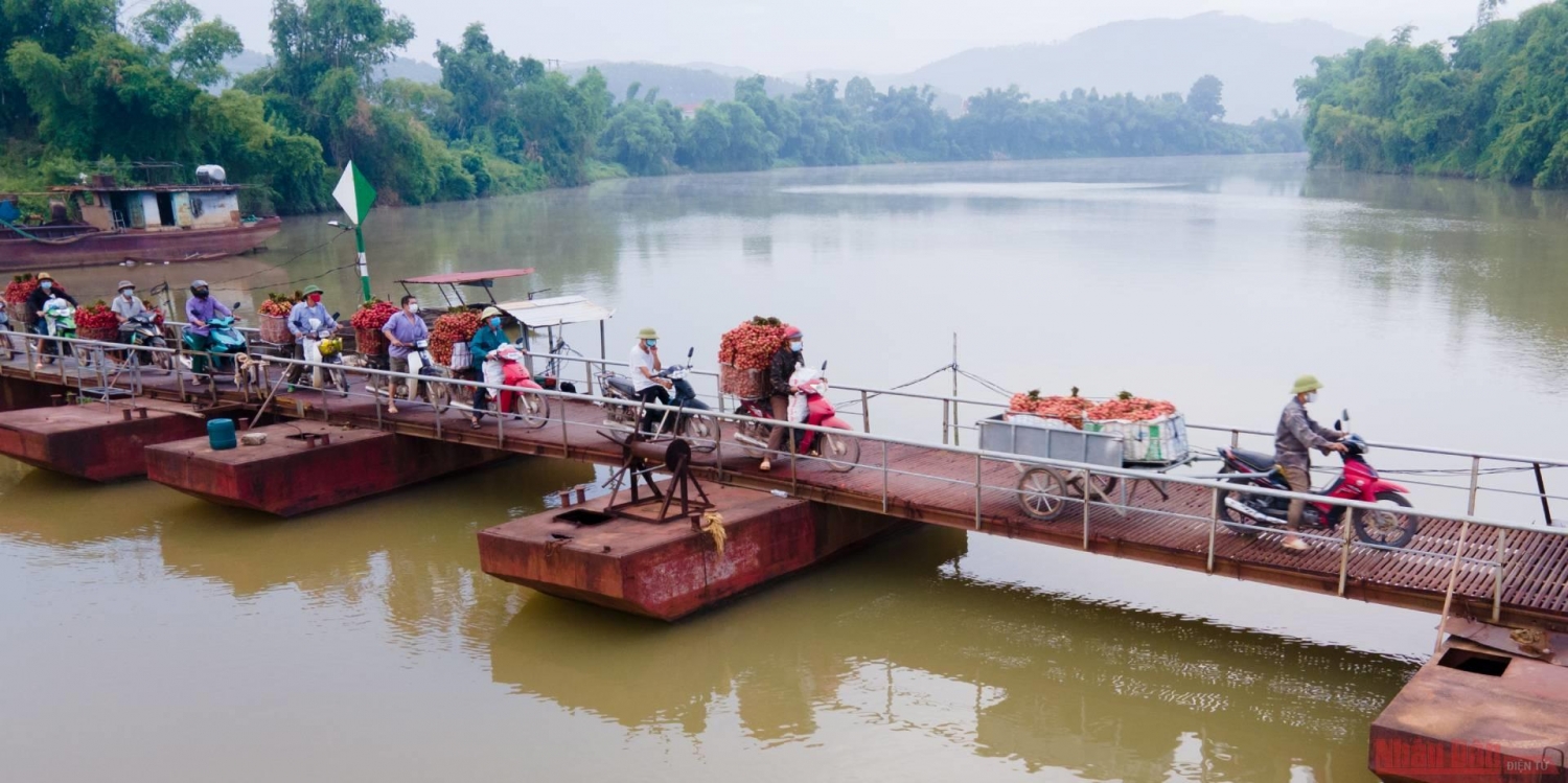 Rực rỡ sắc đỏ tại "vương quốc" vải thiều Bắc Giang Rực rỡ sắc đỏ tại "vương quốc" vải thiều Bắc Giang