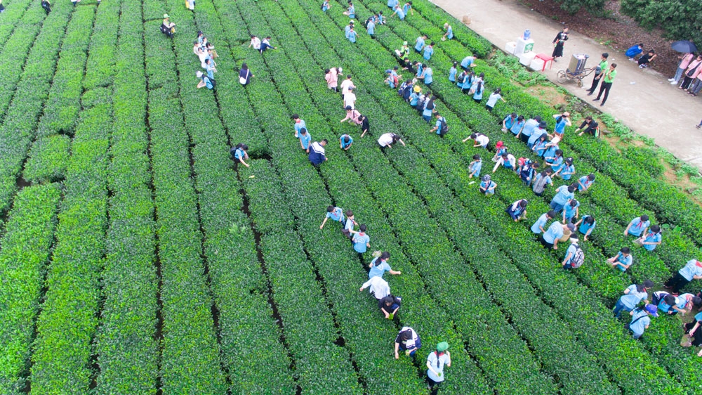 Bản Ven - Điểm du lịch trải nghiệm hấp dẫn