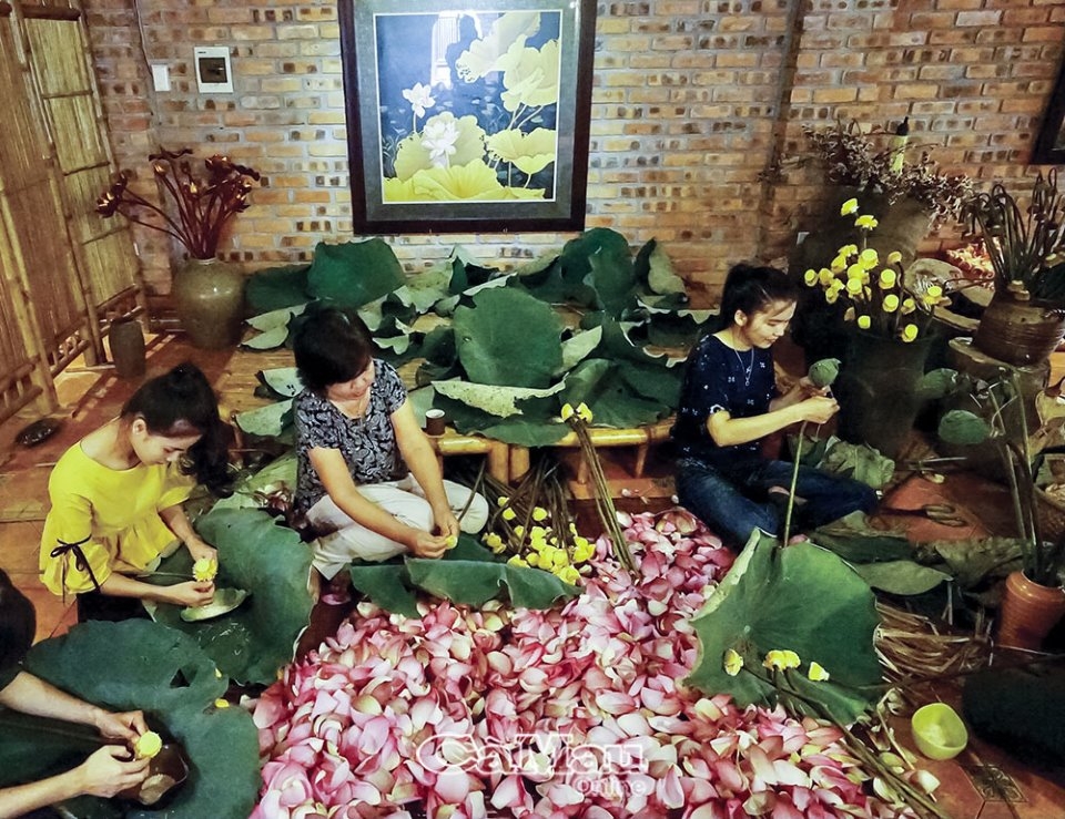 Nghệ thuật ướp trà sen xứ Huế