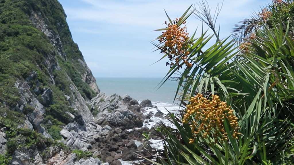 Đến Quan Lạn, ngắm Eo Gió, bắt quéo Chương Dồ