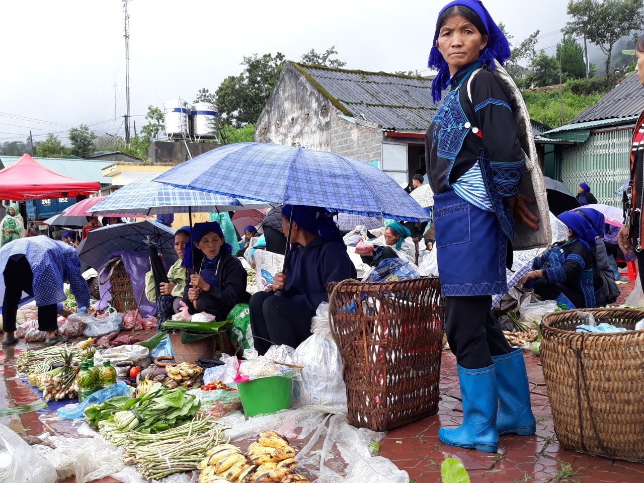 Khám phá những điểm đến thú vị gần Lễ hội Khô Già Già tại Y Tý, Bát Xát