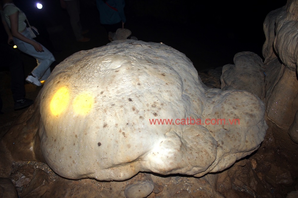 Động Thiên Long - Điểm du lịch kỳ thú ở Cát Hải