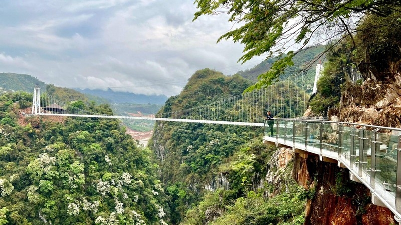 Ấn tượng cầu kính Bạch Long