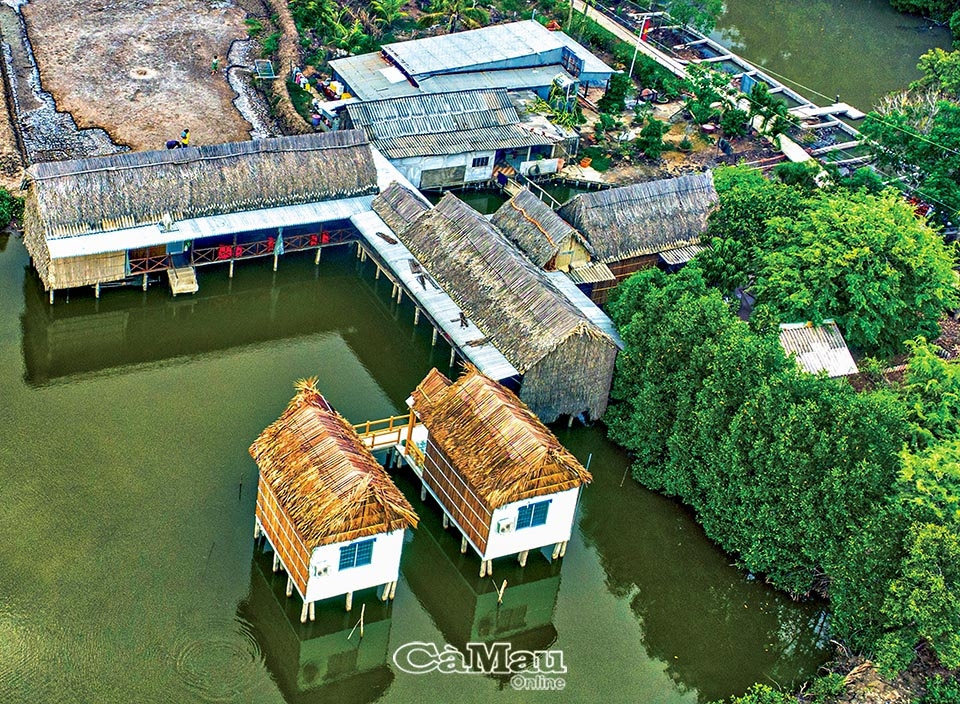 Du lịch xanh Mũi Cà Mau Du lịch xanh Mũi Cà Mau