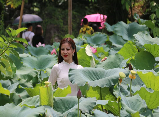 Hang Phượng Hoàng, suối Mỏ Gà - Địa điểm “Giải nhiệt” cho mùa hè oi bức