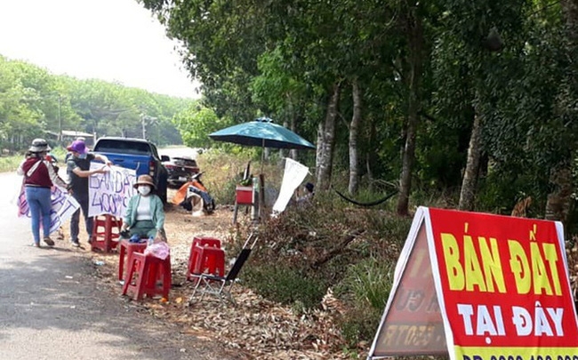 Giá đất 