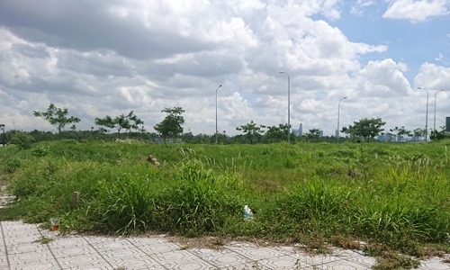 Long An chuyển mục đích sử dụng 37,95 ha đất để thực hiện dự án Cụm công nghiệp Long Phụng