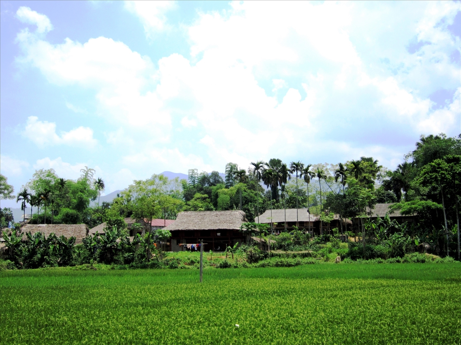 Trải nghiệm du lịch Chợ Chu (Thái Nguyên)