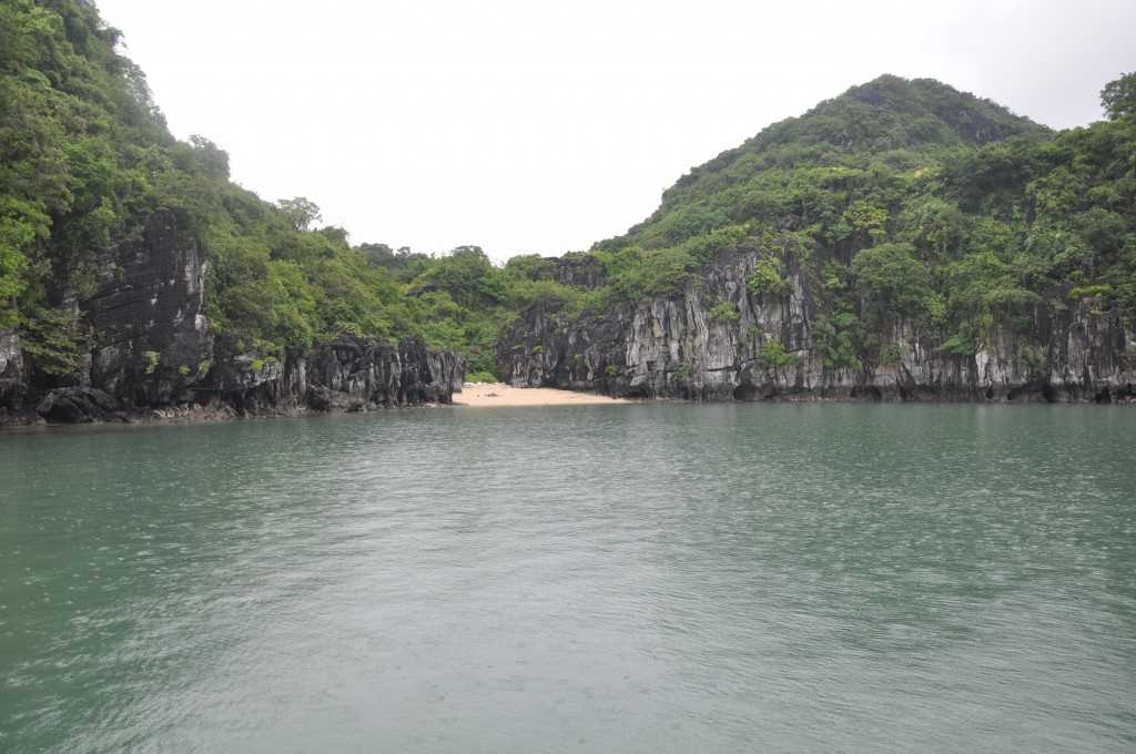 “Săn” san hô trên Vịnh Hạ Long