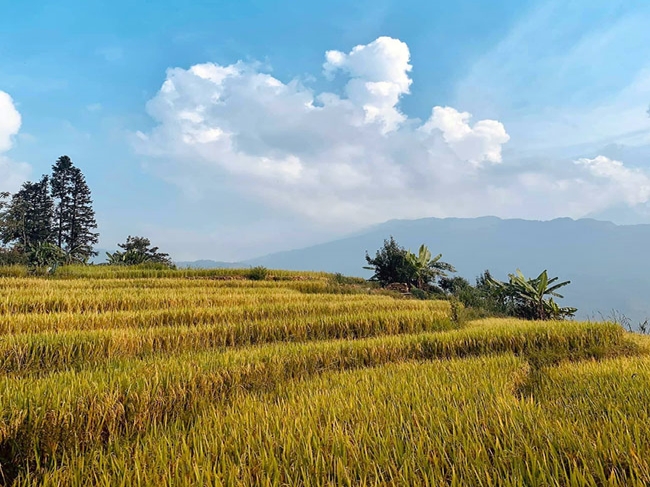 Sín Chải - Linh hồn vẹn nguyên của núi rừng Sa Pa