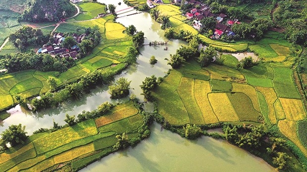 Phong Nậm - Vẻ đẹp hữu tình và thơ mộng
