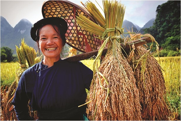 Phong Nậm - Vẻ đẹp hữu tình và thơ mộng