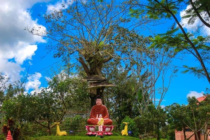 Ngắm khung cảnh bình yên của ngôi chùa lớn nhất Bảo Lộc Ngắm khung cảnh bình yên của ngôi chùa lớn nhất Bảo Lộc