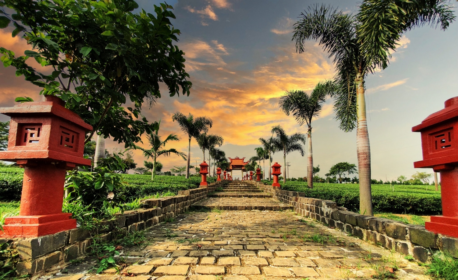 Ngắm khung cảnh bình yên của ngôi chùa lớn nhất Bảo Lộc Ngắm khung cảnh bình yên của ngôi chùa lớn nhất Bảo Lộc