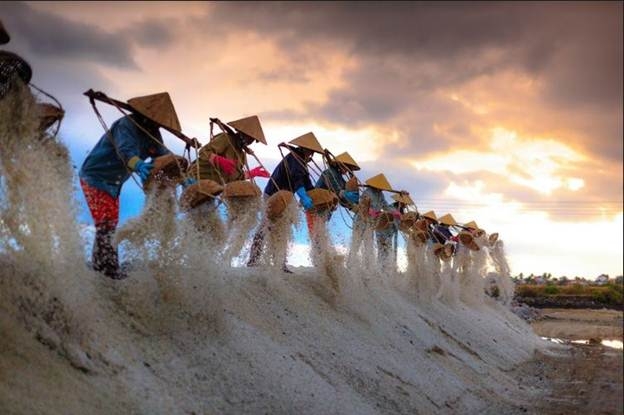 Vẻ đẹp mặn mà của những cánh đồng muối Ninh Thuận