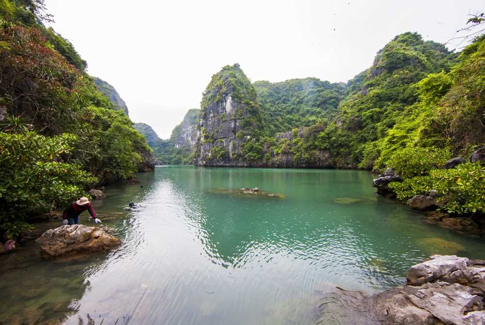 Tiềm năng du lịch từ các hồ, áng trên Vịnh Hạ Long