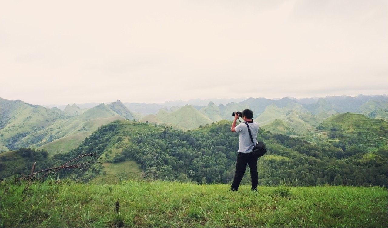 Đồi thông Vinh Quý - Một thoáng mơ màng trong lòng Hạ Lang
