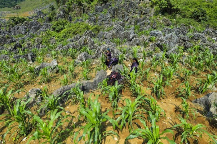 Cao nguyên đá Tủa Chùa và bí mật Di tích Thành Vàng Lồng