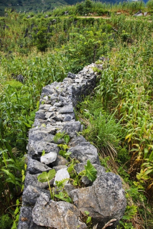 Cao nguyên đá Tủa Chùa và bí mật Di tích Thành Vàng Lồng