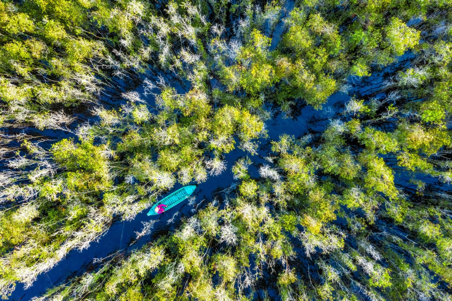 Vẻ đẹp độc đáo của Vườn quốc gia Tràm Chim