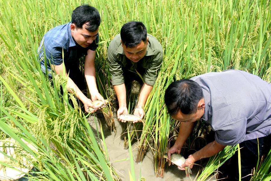 Tả Sử Choóng - Mảnh đất giàu tiềm năng du lịch