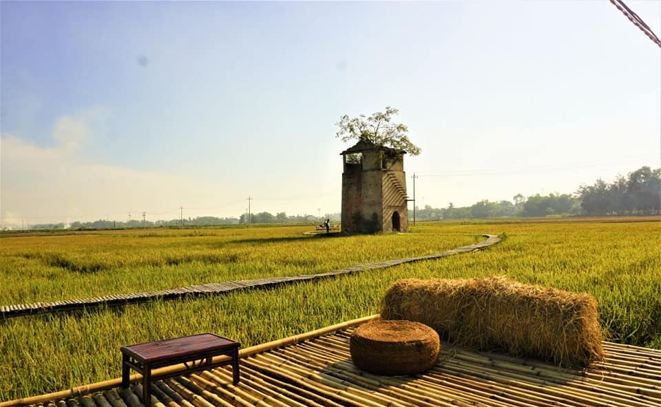 Bộ Y tế hướng dẫn dùng y học cổ truyền để phòng chống Covid-19