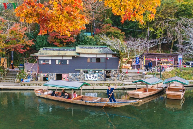 Đến Kyoto, lạc lối giữa rừng phong lá đỏ den kyoto lac loi giua rung phong la do
