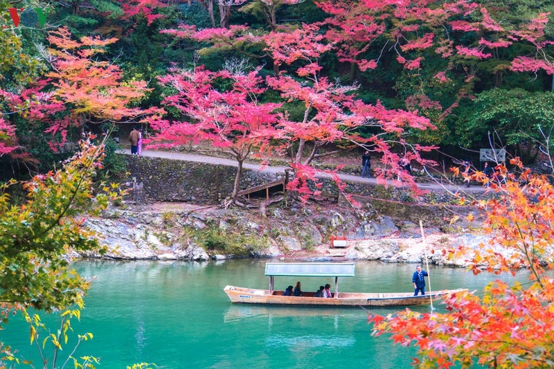 Đến Kyoto, lạc lối giữa rừng phong lá đỏ den kyoto lac loi giua rung phong la do