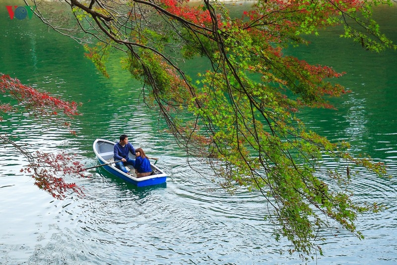 Đến Kyoto, lạc lối giữa rừng phong lá đỏ den kyoto lac loi giua rung phong la do