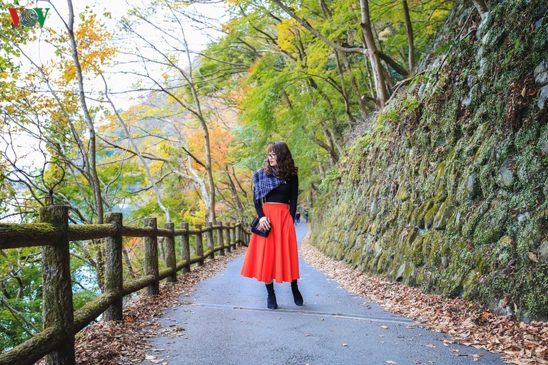 Đến Kyoto, lạc lối giữa rừng phong lá đỏ den kyoto lac loi giua rung phong la do
