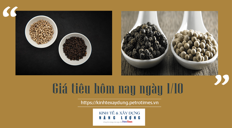 Giá tiêu hôm nay ngày 1/10, tăng nhẹ ở một số vùng trọng điểm