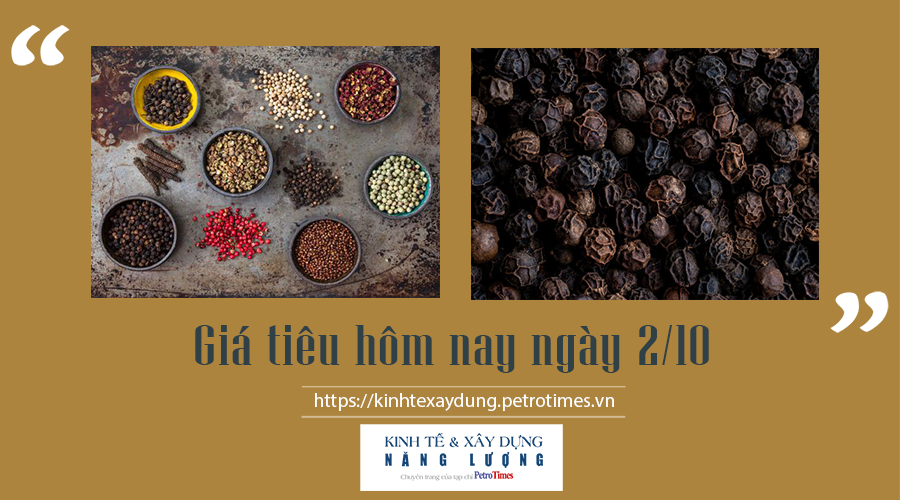 Giá tiêu hôm nay ngày 2/10: Vẫn giữ đà tăng Giá tiêu hôm nay ngày 2/10: Vẫn giữ đà tăng