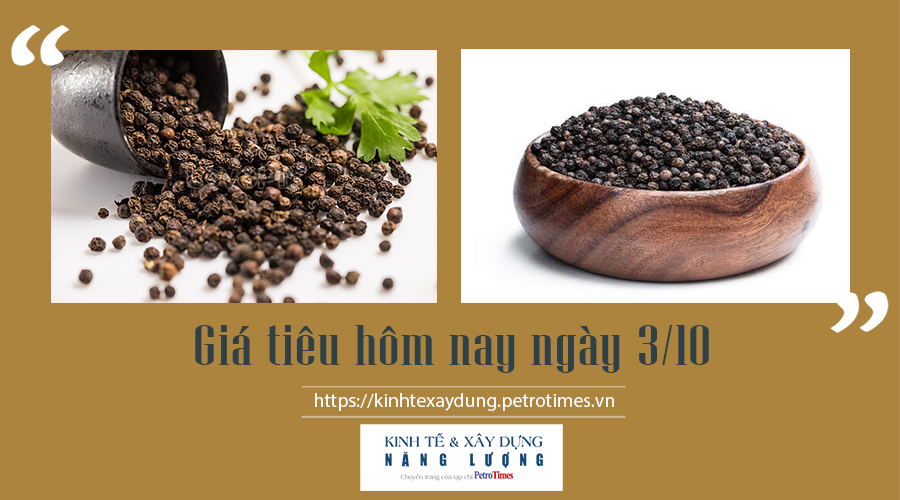 Giá tiêu hôm nay ngày 3/10: Đi ngang tại các vùng trọng điểm Giá tiêu hôm nay ngày 3/10: Đi ngang tại các vùng trọng điểm