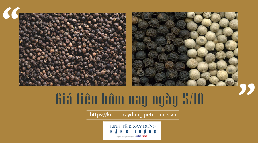 Giá tiêu hôm nay ngày 5/10: Cao nhất 82.000 đồng/kg Giá tiêu hôm nay ngày 5/10: Cao nhất 82.000 đồng/kg