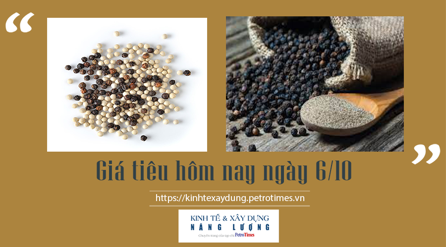 Giá tiêu hôm nay ngày 6/10: Đồng loạt tăng, cao nhất 82.500đ/kg Giá tiêu hôm nay ngày 6/10: Đồng loạt tăng, cao nhất 82.500đ/kg