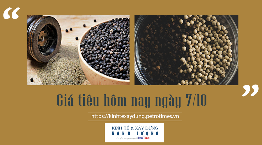 Giá tiêu hôm nay ngày 7/10: Giao dịch ổn định Giá tiêu hôm nay ngày 7/10: Giao dịch ổn định