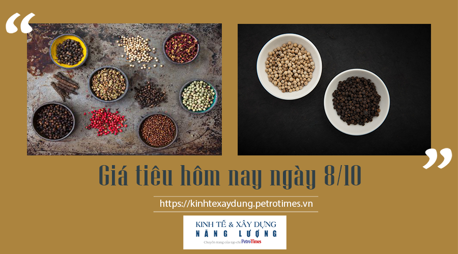 Giá tiêu hôm nay ngày 8/10: Đồng loạt tăng Giá tiêu hôm nay ngày 8/10: Đồng loạt tăng