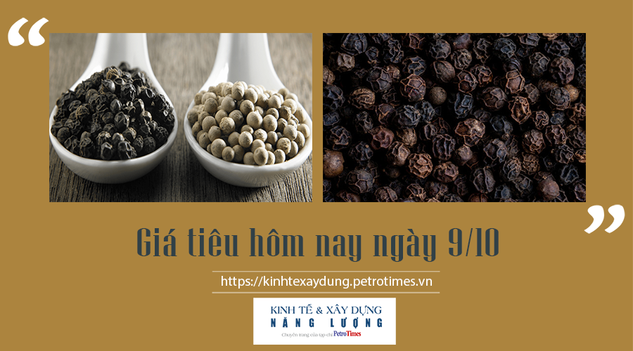 Giá tiêu hôm nay ngày 9/10: Tiếp tục tăng, cao nhất 84.000 đ/kg