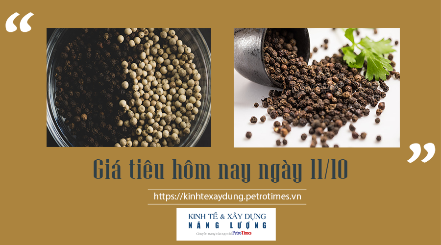 Giá tiêu hôm nay ngày 11/10: Tiếp tục tăng, cao nhất 85.000 đồng/kg Giá tiêu hôm nay ngày 11/10: Tiếp tục tăng, cao nhất 85.000 đồng/kg