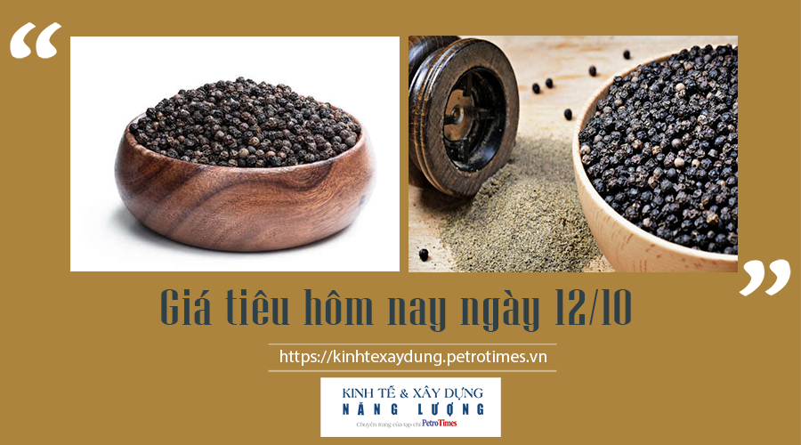 Giá tiêu hôm nay ngày 12/10: Thiết lập đỉnh mới 88.000 đ/kg Giá tiêu hôm nay ngày 12/10: Thiết lập đỉnh mới 88.000 đ/kg