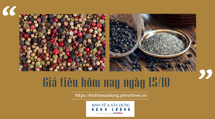 Giá tiêu hôm nay ngày 15/10: Đồng loạt tăng thêm 1.000 đ/kg Giá tiêu hôm nay ngày 15/10: Đồng loạt tăng thêm 1.000 đ/kg