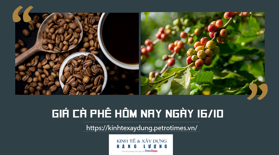 Giá cà phê hôm nay ngày 16/10: Đi ngang tại các vùng trọng điểm