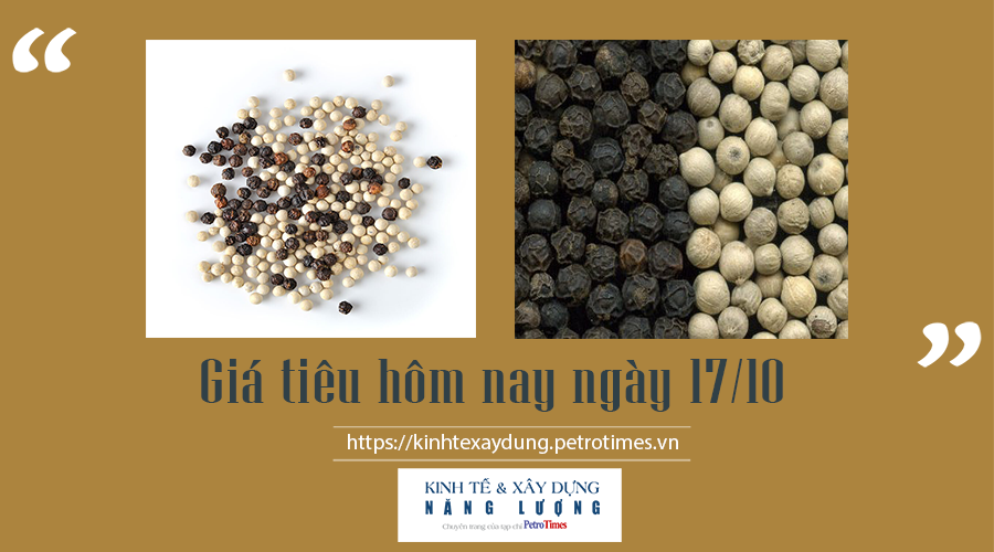 Giá tiêu hôm nay ngày 17/10: Vẫn duy trì ở mức cao Giá tiêu hôm nay ngày 17/10: Vẫn duy trì ở mức cao